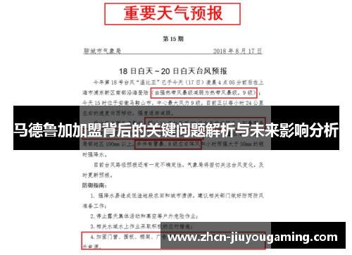 马德鲁加加盟背后的关键问题解析与未来影响分析