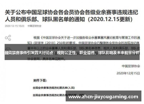 魏震禁赛事件引发四大讨论点：规则公正性、职业道德、球队影响及未来前景分析