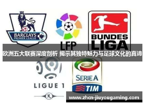 欧洲五大联赛深度剖析 揭示其独特魅力与足球文化的真谛
